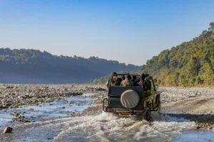 Dos and Don’ts in a Wildlife Safari in India: A Complete Guide